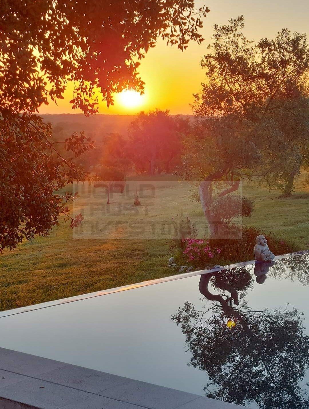 Land in Sines, Setubal, Portugal 1 - 12464074