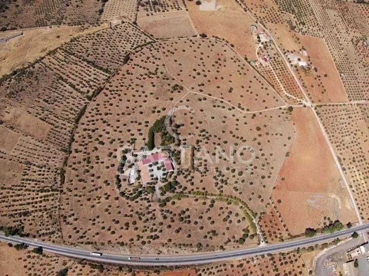 Farm Ranch in Terrugem e Vila Boim, Portalegre District, Portugal 3 - 16659229