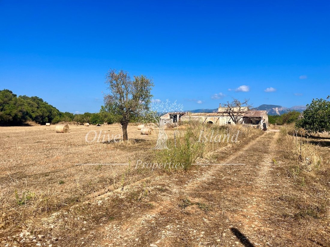 Land in Inca, Balearic Islands, Spain 5 - 16329406