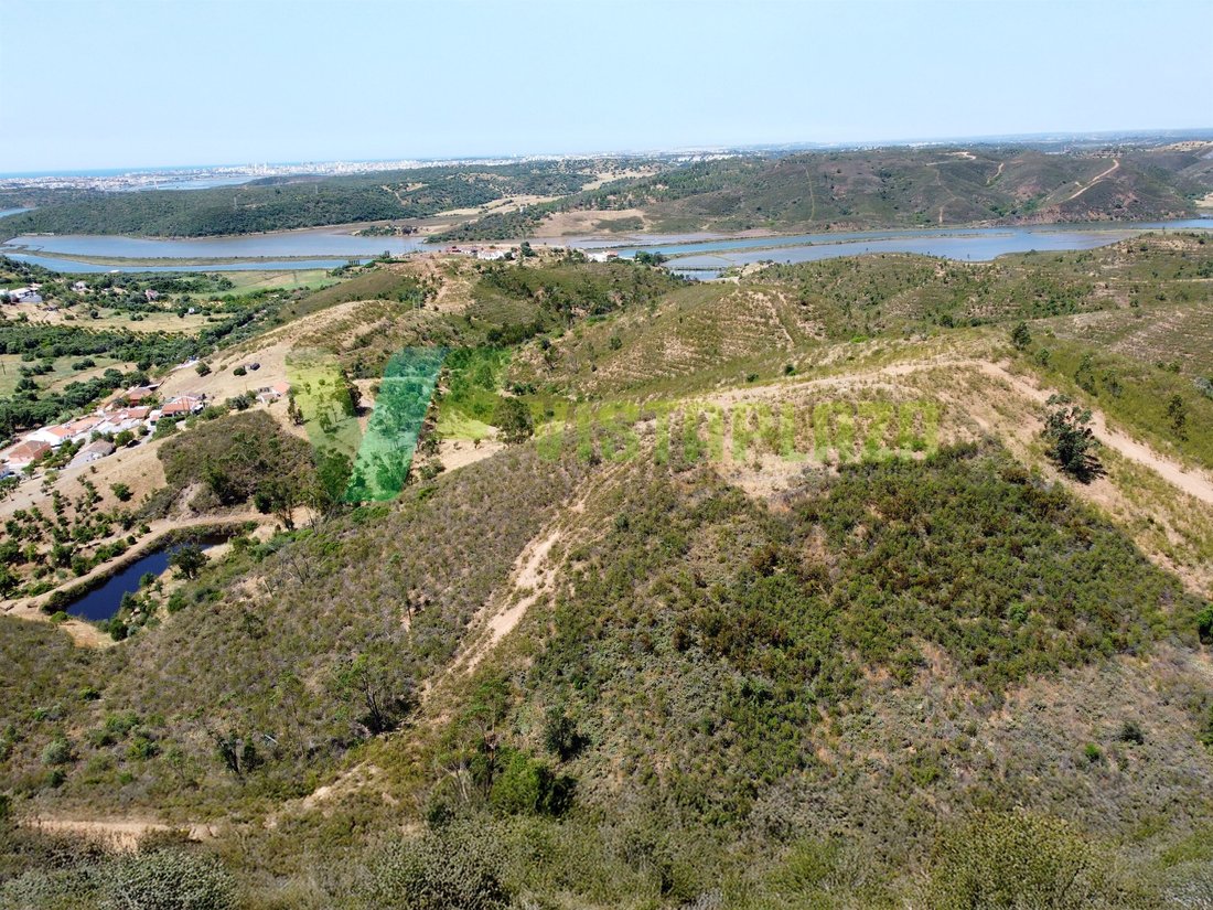 Finca in Silves, Algarve, Portugal 1 - 15794637