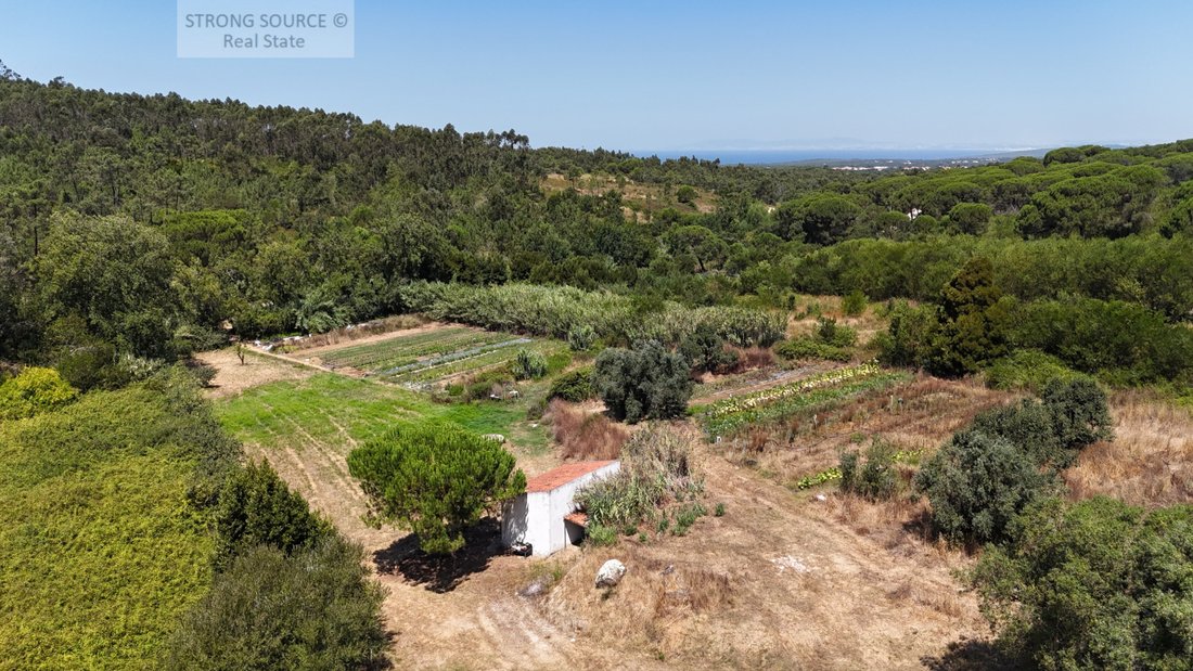 Finca in Sesimbra (Castelo), Setubal, Portugal 5 - 16006665