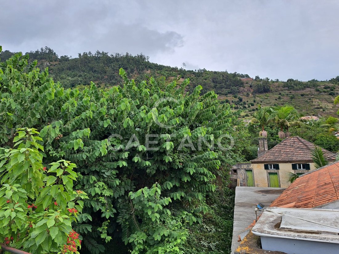 Land in Arco da Calheta, Madeira, Portugal 2 - 16659234