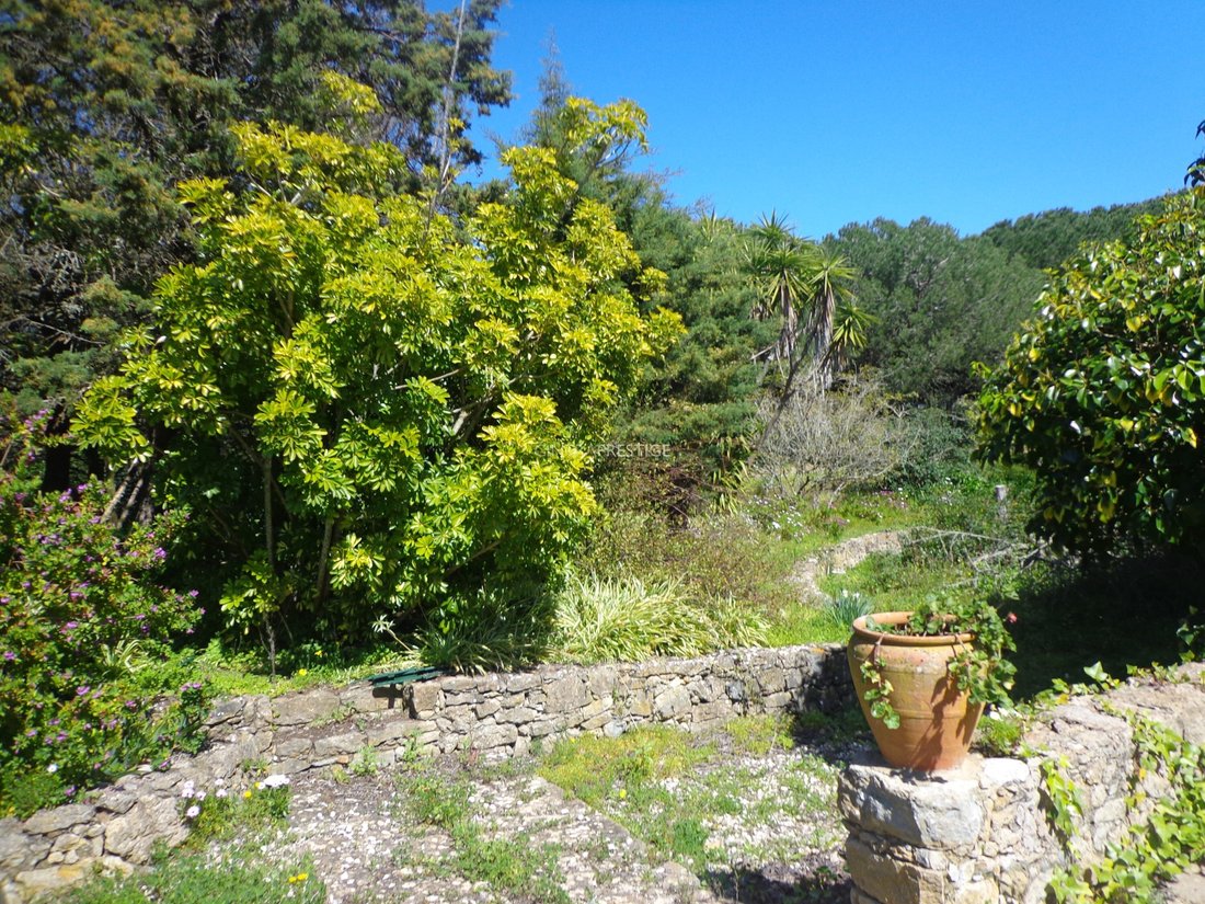 Finca à Igreja Nova, Lisbonne, Portugal 4 - 15374852
