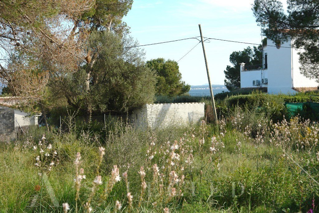 Land in Alcudia, Balearic Islands, Spain 5 - 10696440