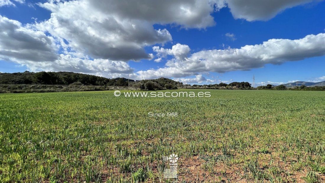 Land in Arta, Balearic Islands, Spain 4 - 12629095
