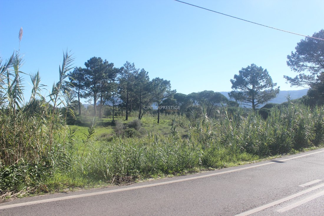 Land in Sintra, Lisbon, Portugal 2 - 13617776
