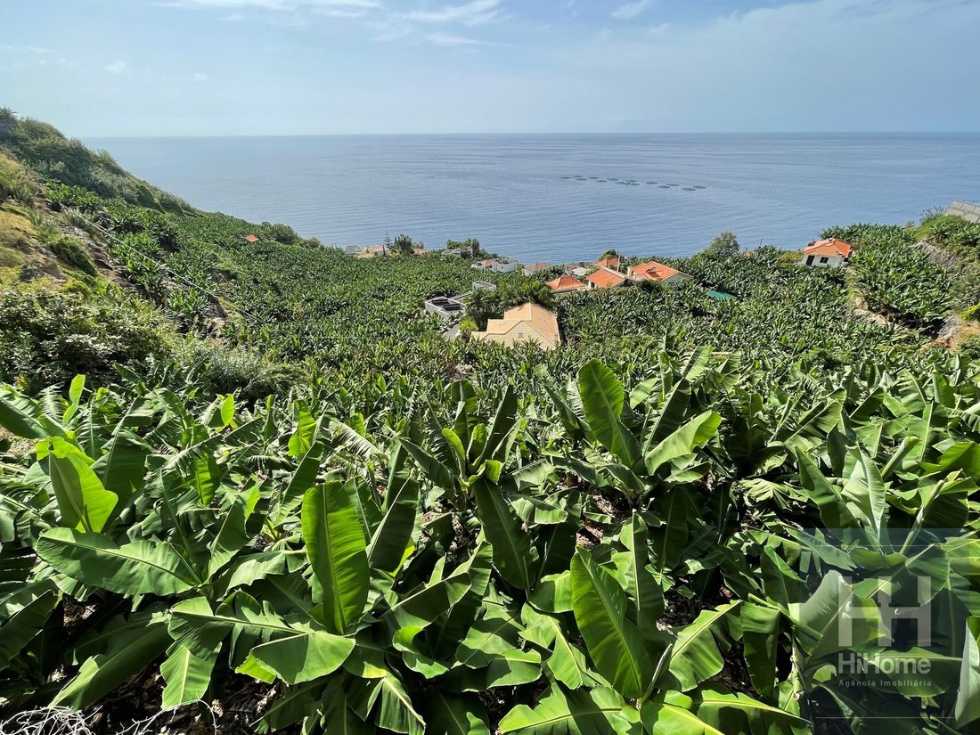 Land in Arco da Calheta, Madeira, Portugal 5 - 14065954