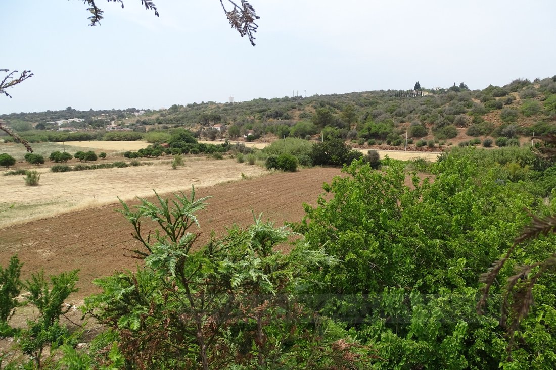 Finca in Mexilhoeira Grande, Algarve, Portugal 4 - 14777748
