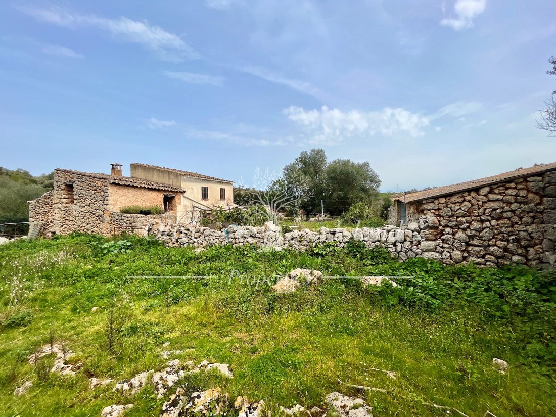 Land in Algaida, Balearic Islands, Spain 2 - 14947506