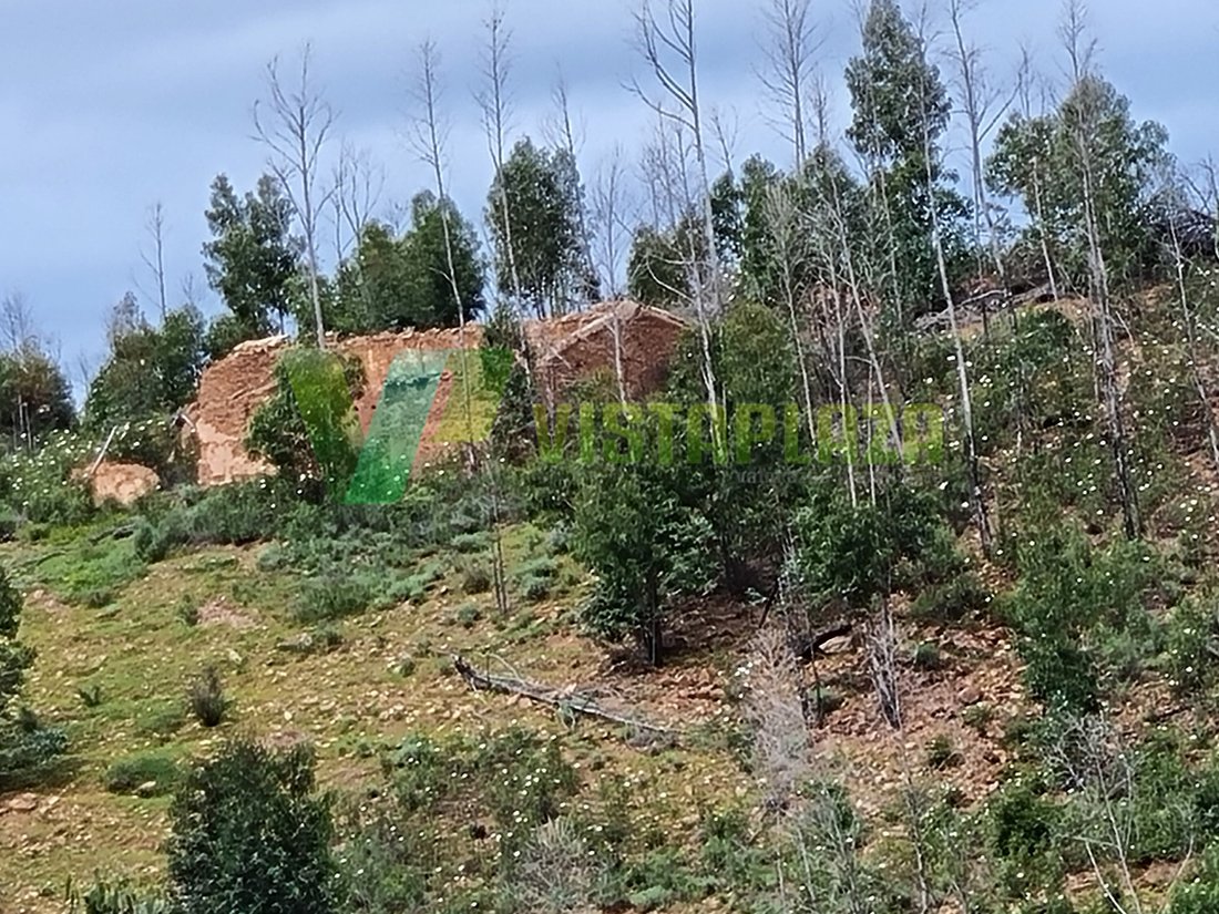 Land in Silves, Algarve, Portugal 4 - 12297073