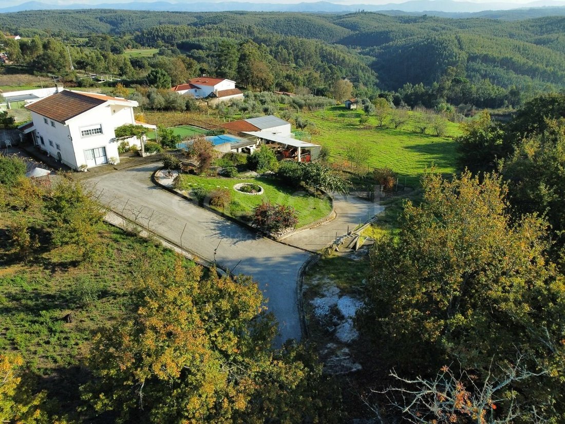 Finca in Azere e Covelo, Coimbra District, Portugal 5 - 15014003