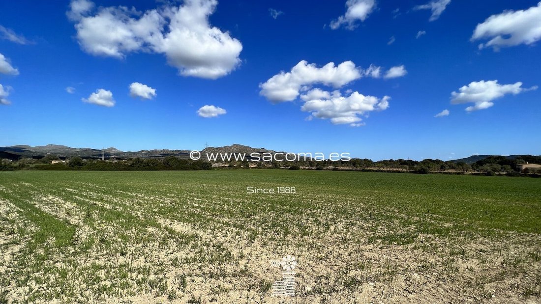 Land in Arta, Balearic Islands, Spain 1 - 12629095