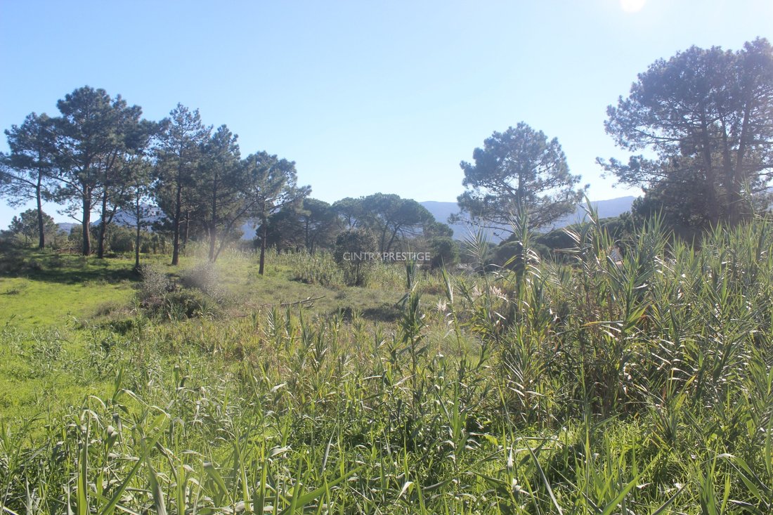 Land in Sintra, Lisbon, Portugal 4 - 13617776