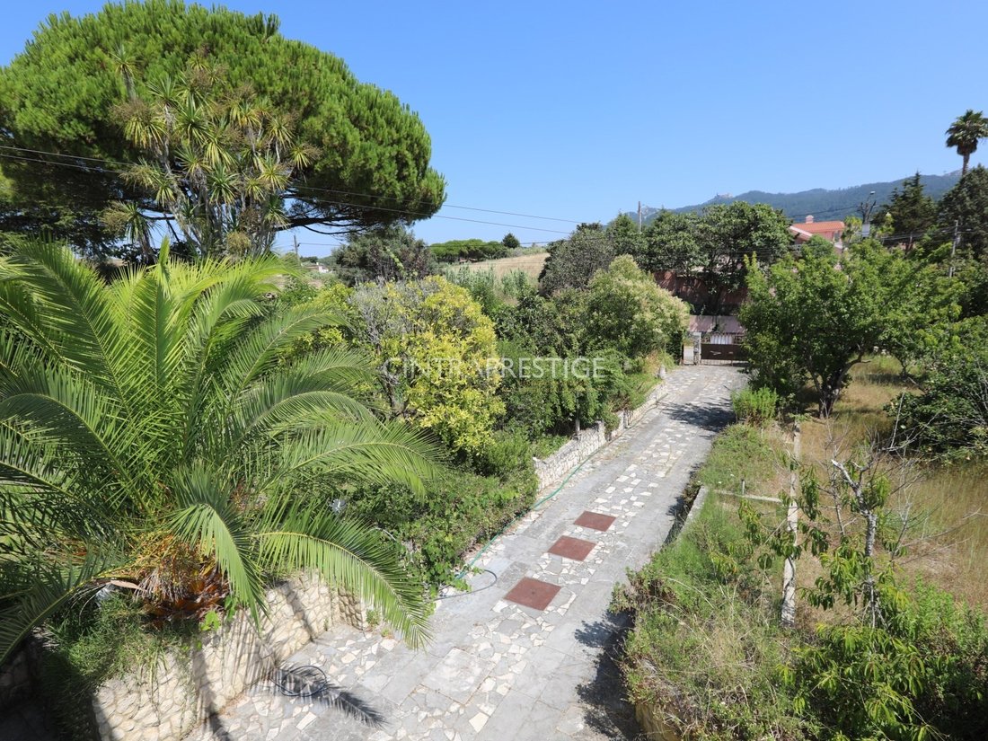 House in Sintra, Lisbon, Portugal 3 - 16055443
