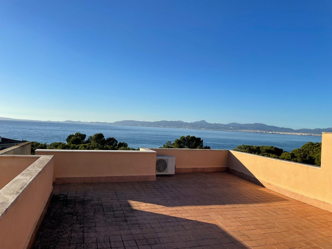 Chalet in Llucmajor, Balearic Islands, Spain 3 - 16392615