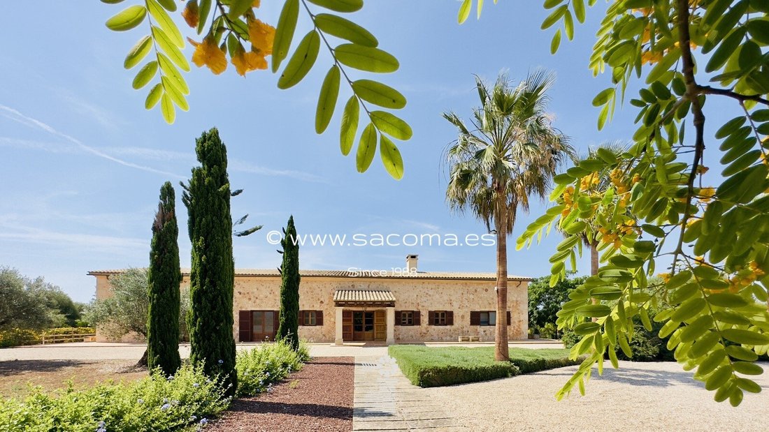 Finca in Manacor, Balearic Islands, Spain 4 - 12999889