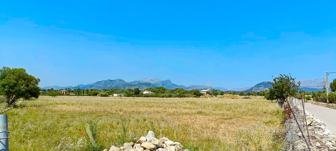 Land in Alcudia, Balearic Islands, Spain 5 - 12275910