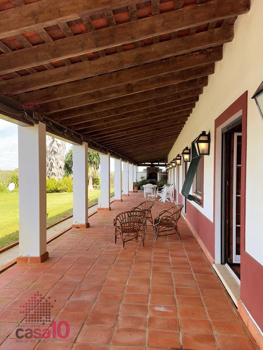 Estate in Vila Nova de Sao Bento e Vale de Vargo, Beja District, Portugal 4 - 14056617