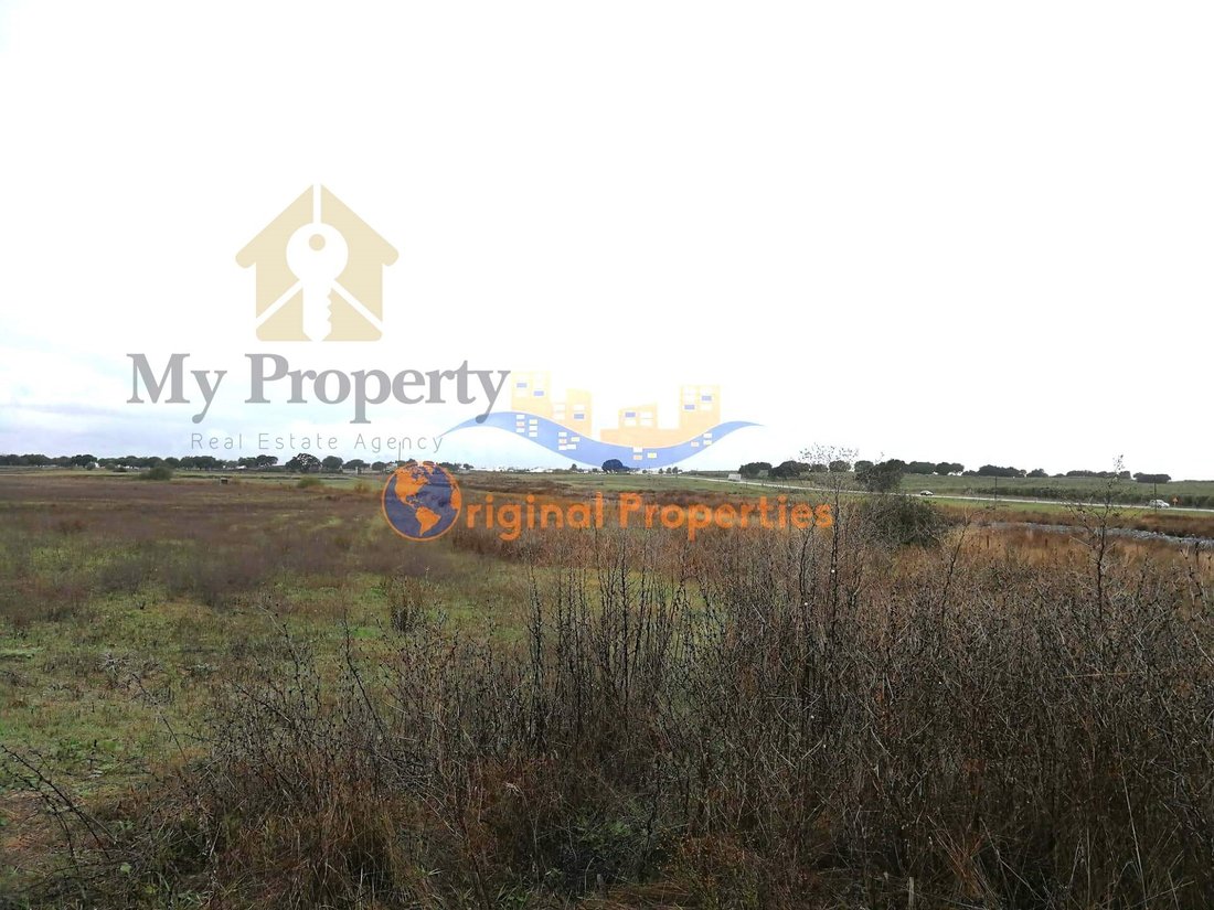 Land in Figueira dos Cavaleiros, Beja District, Portugal 2 - 16502886
