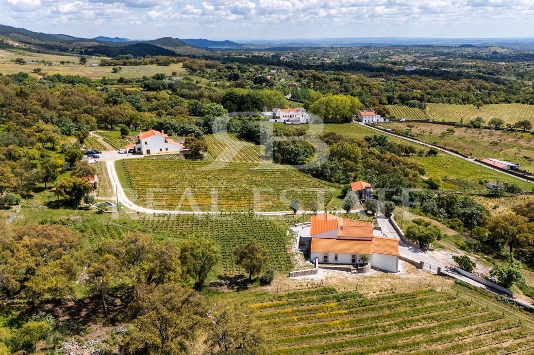Finca in Reguengo e Sao Juliao, Portalegre District, Portugal 3 - 16274309