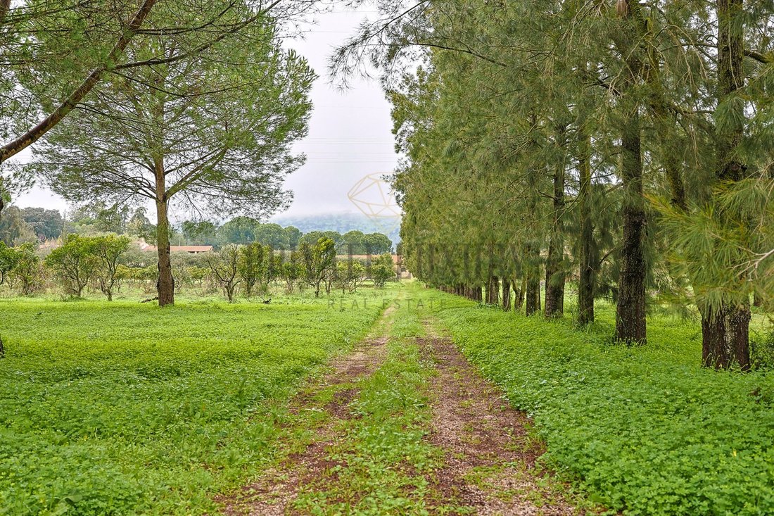 Finca in Setubal, Setubal, Portugal 5 - 13676374