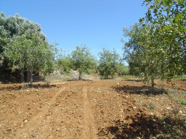 Land in Olhos de Agua, Algarve, Portugal 5 - 12275369