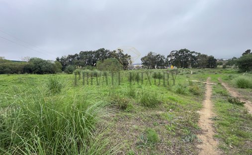 Terreno a Sintra, Lisbona, Portogallo 1