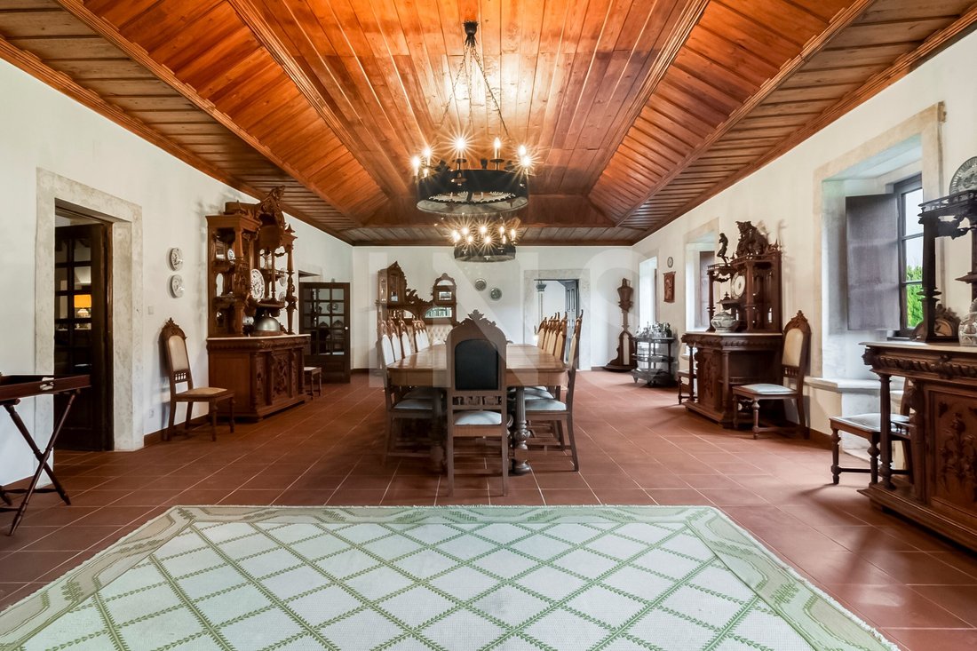 Finca in Gondemaria e Olival, Santarem District, Portugal 5 - 16042760