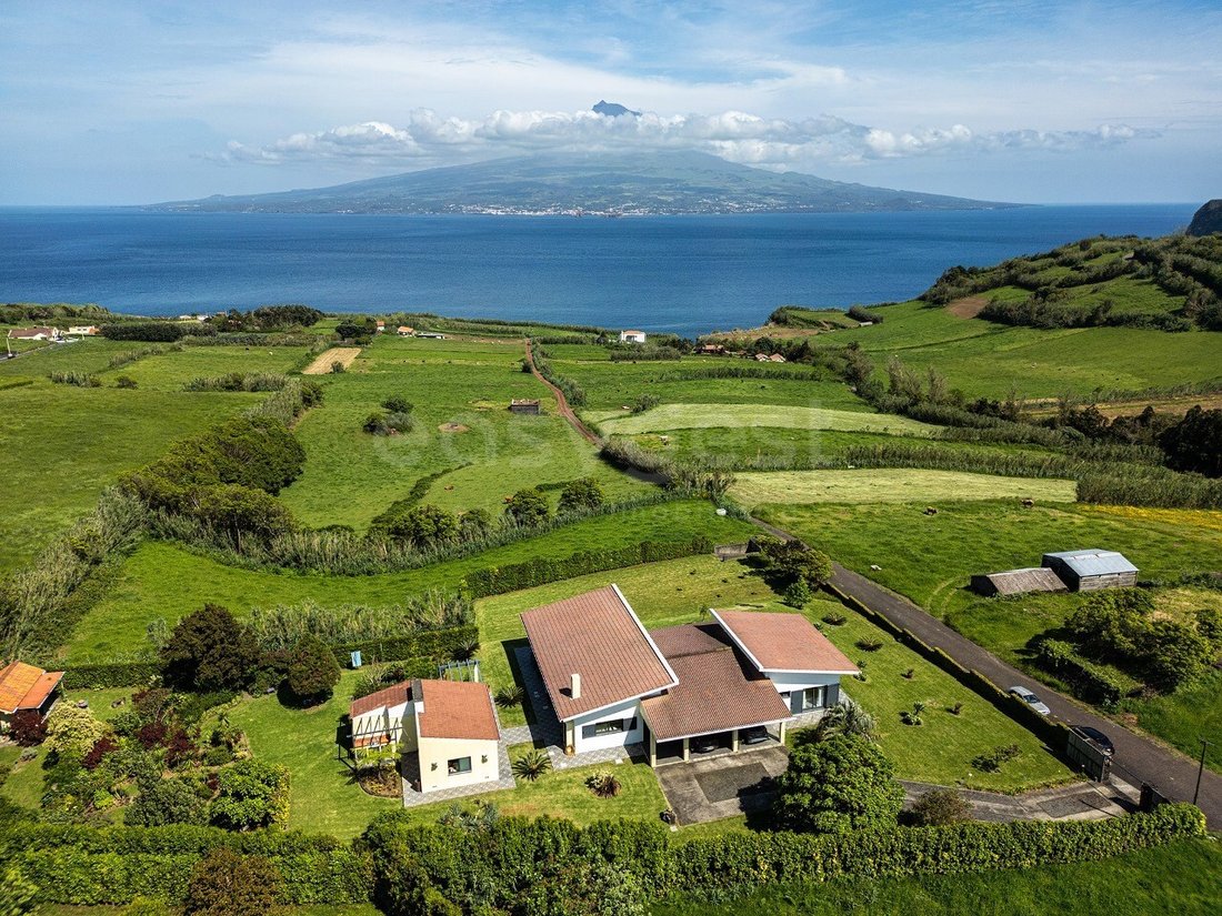 House in Pedro Miguel, Azores, Portugal 3 - 16484225