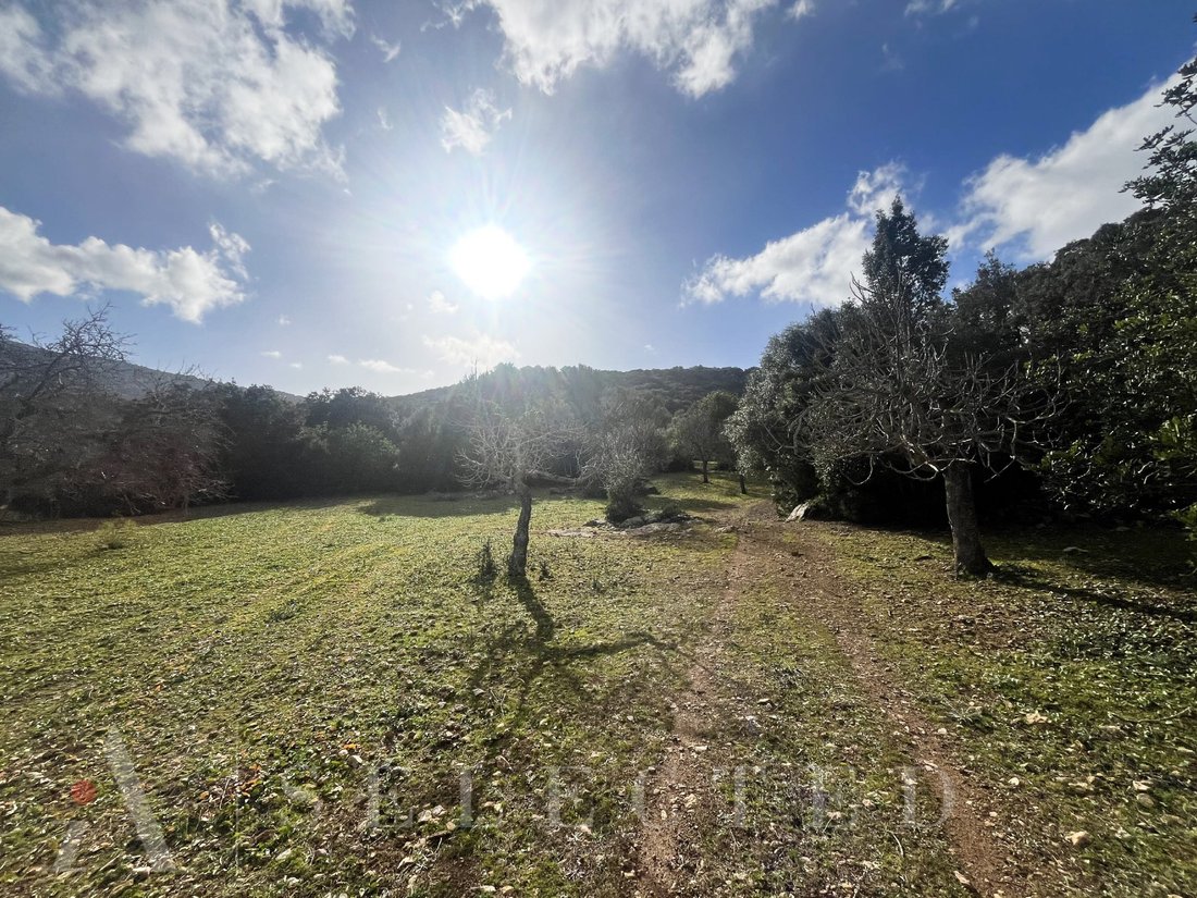 Chalet in Pollenca, Balearic Islands, Spain 4 - 13725493
