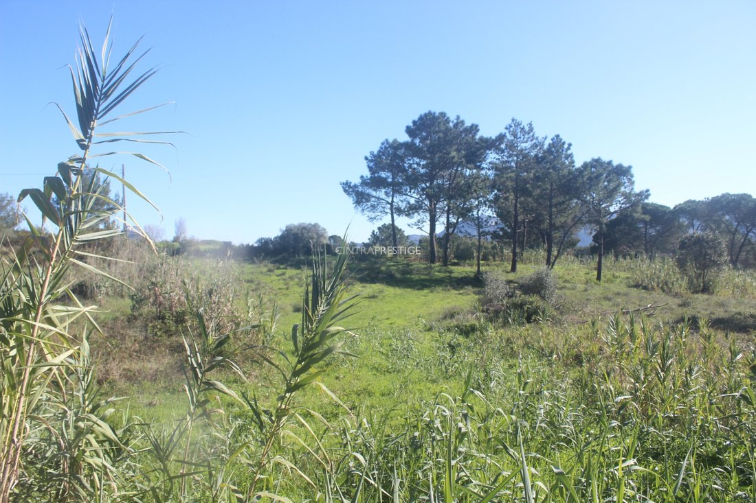 Land in Sintra, Lisbon, Portugal 3 - 13617776