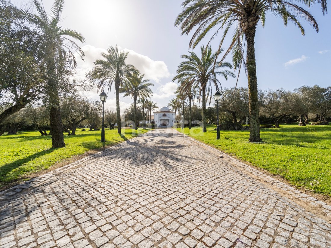 Finca in Bacelo e Senhora da Saude, Évora District, Portugal 4 - 15263624