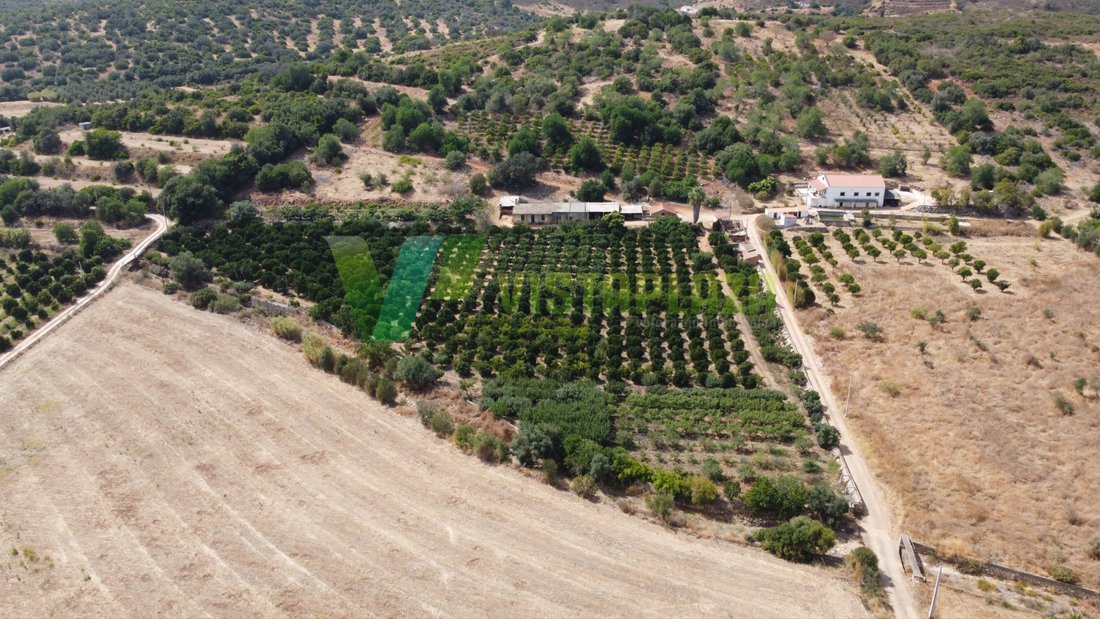 Land in Mexilhoeira Grande, Algarve, Portugal 3 - 16195873