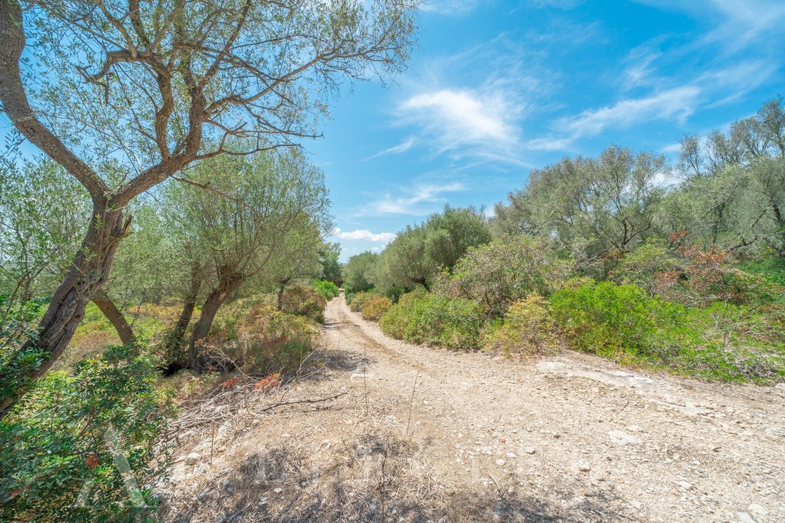 Land in Alcudia, Balearic Islands, Spain 2 - 12275891