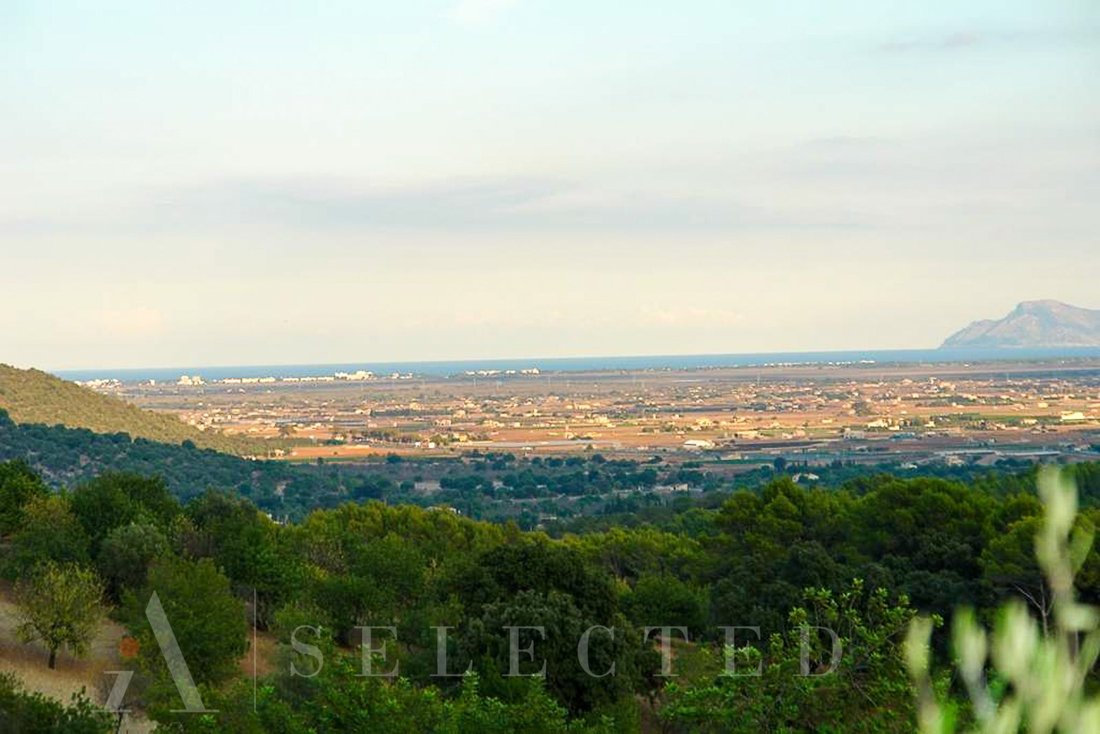 Land in Campanet, Balearic Islands, Spain 2 - 10696451