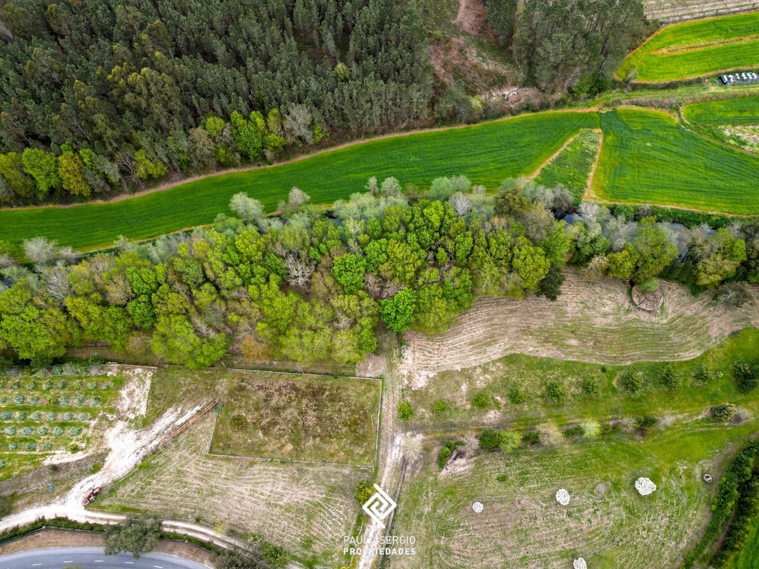 Land in Fragoso, Braga, Portugal 3 - 15497645