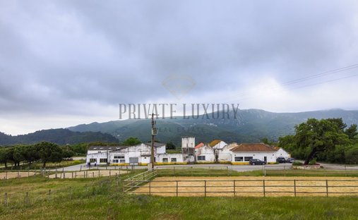 Finca in Azeitao (Sao Lourenco e Sao Simao), Setubal, Portugal 1
