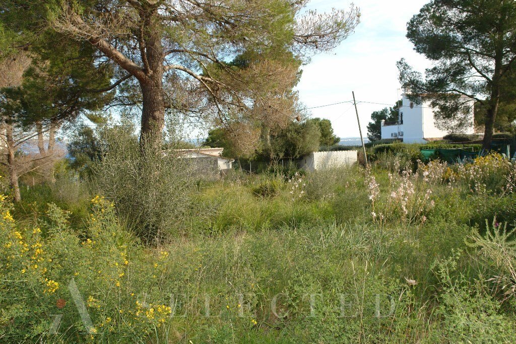 Land in Alcudia, Balearic Islands, Spain 4 - 10696440