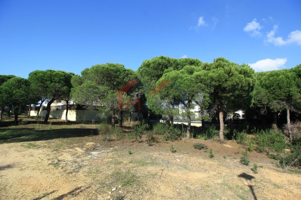 Land in Almancil, Algarve, Portugal 2 - 10554080