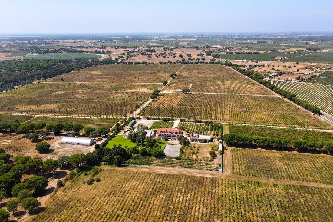 Estate in Poceirao e Marateca, Setubal, Portugal 5 - 16033978