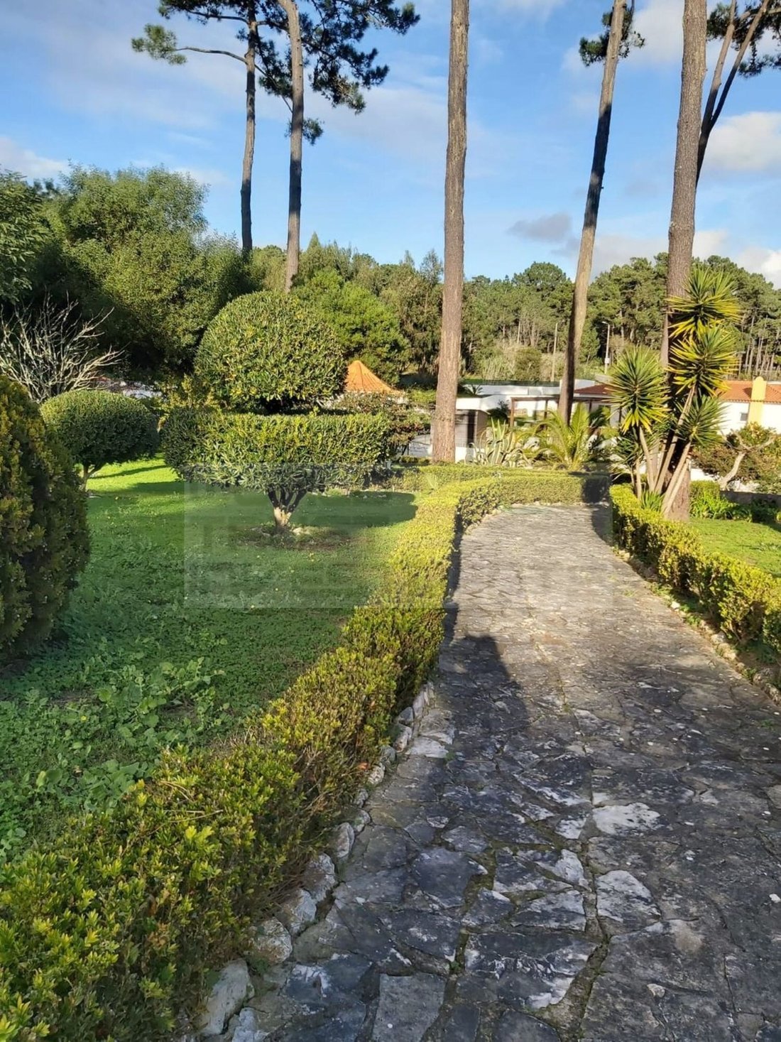 House in Colares, Lisbon, Portugal 4 - 12464059