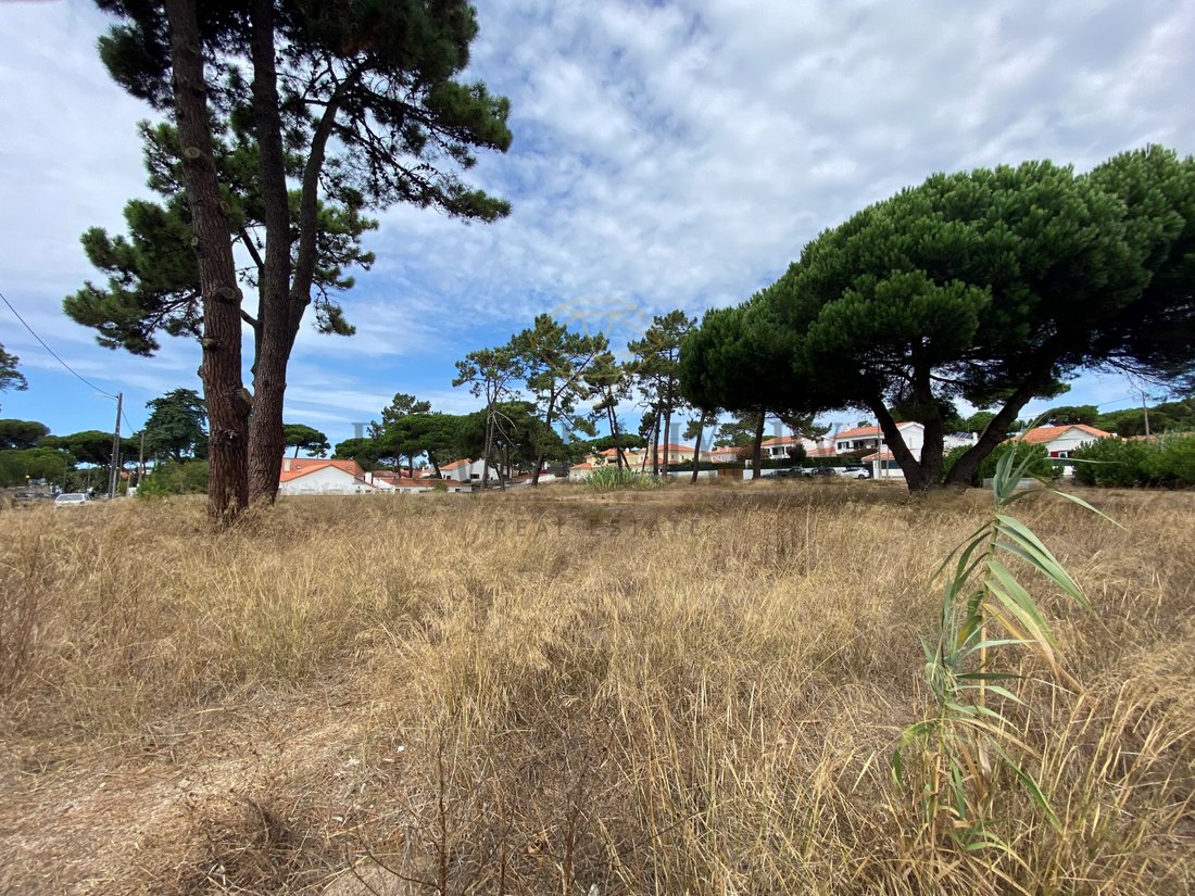 Land in Colares, Lisbon, Portugal 5 - 15352032