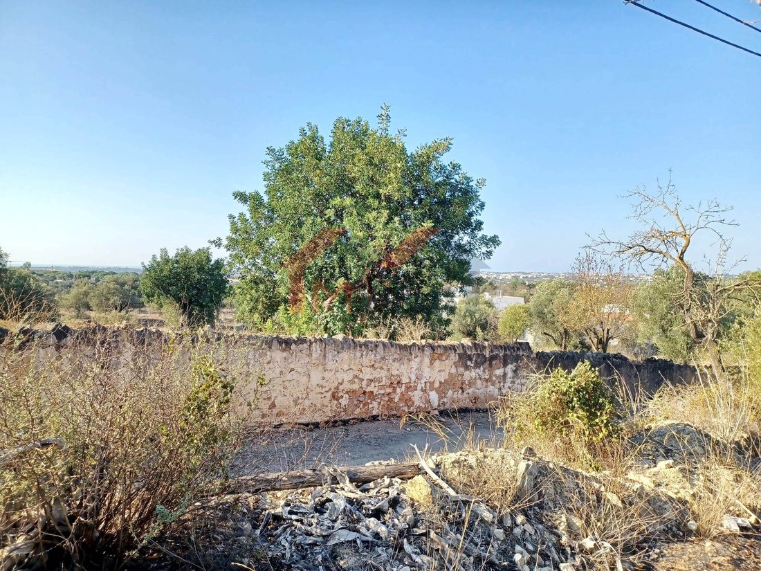 Land in Boliqueime, Algarve, Portugal 5 - 13364060