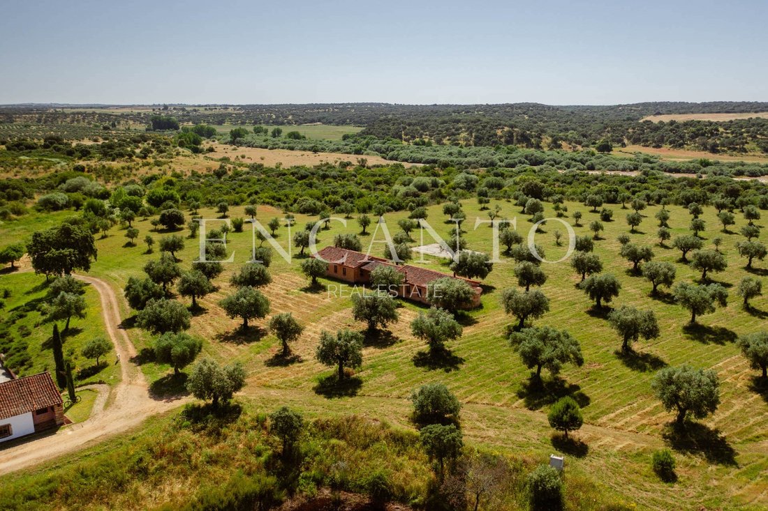 Finca in Escalos de Baixo e Mata, Castelo Branco District, Portugal 5 - 16699356