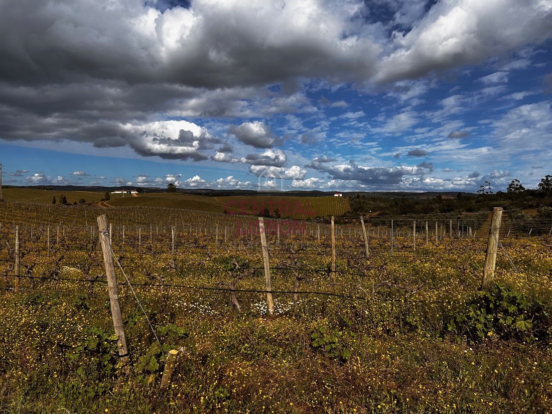 Land in Terena (Sao Pedro), Évora District, Portugal 2 - 15835374