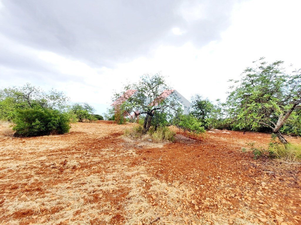 Land in Loule (Sao Clemente), Algarve, Portugal 1 - 15298598