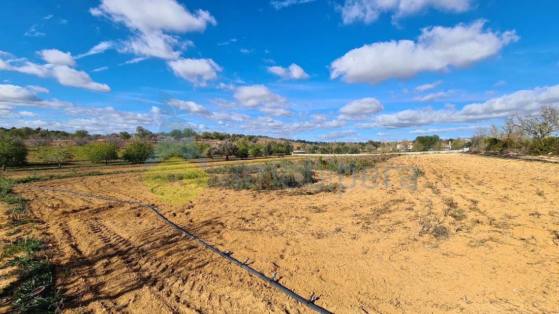 Land in Guia, Algarve, Portugal 2 - 16484816