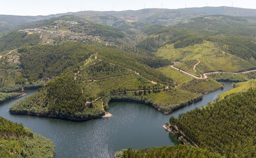 Finca en Serra e Junceira, Distrito de Santarém, Portugal 1