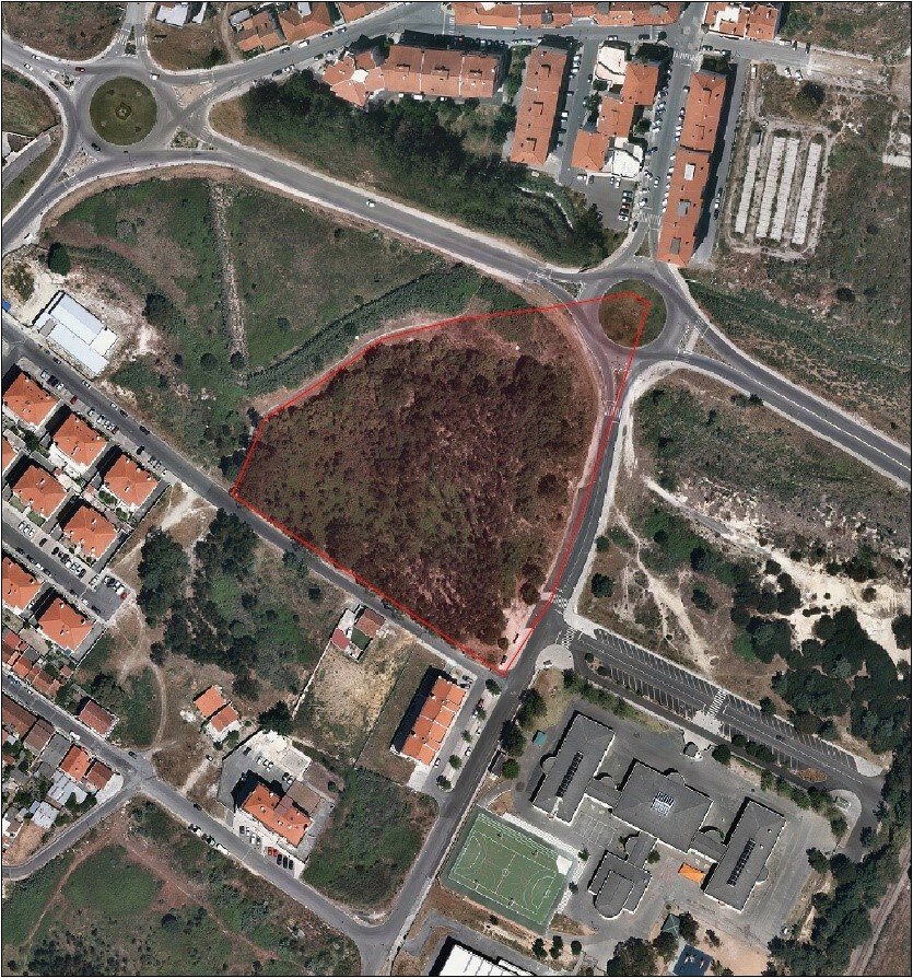 Land in Nossa Senhora do Populo, Coto e Sao Gregorio, Leiria District, Portugal 3 - 12274832
