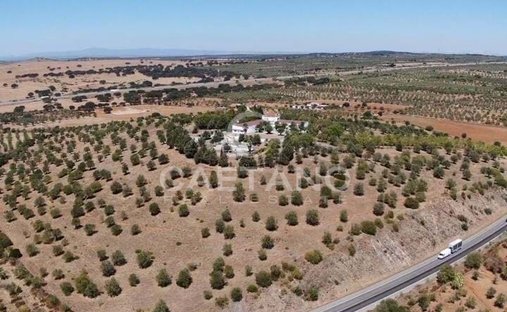 Azienda agricola a Terrugem e Vila Boim, Distretto di Portalegre, Portogallo 1